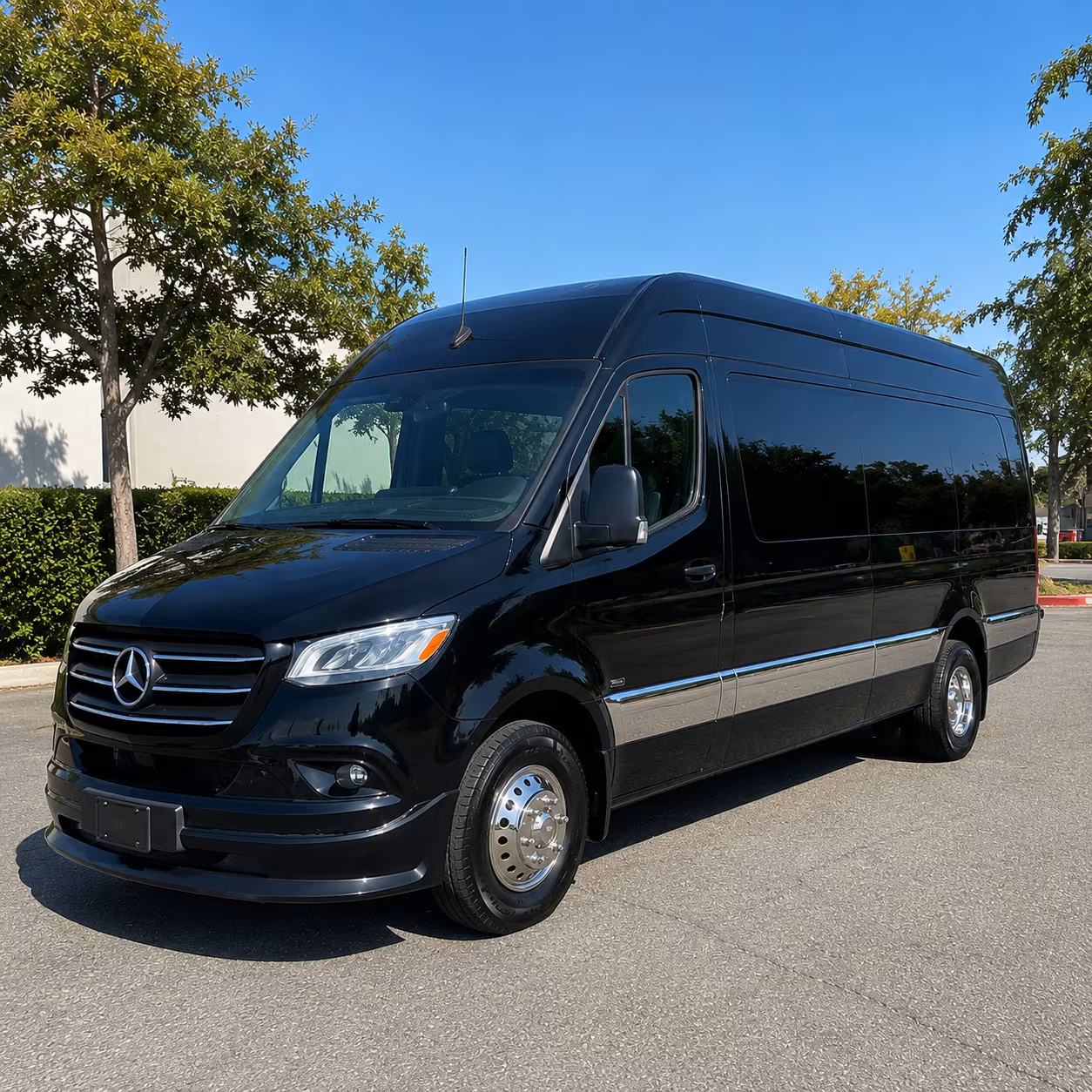 leander prom transportation